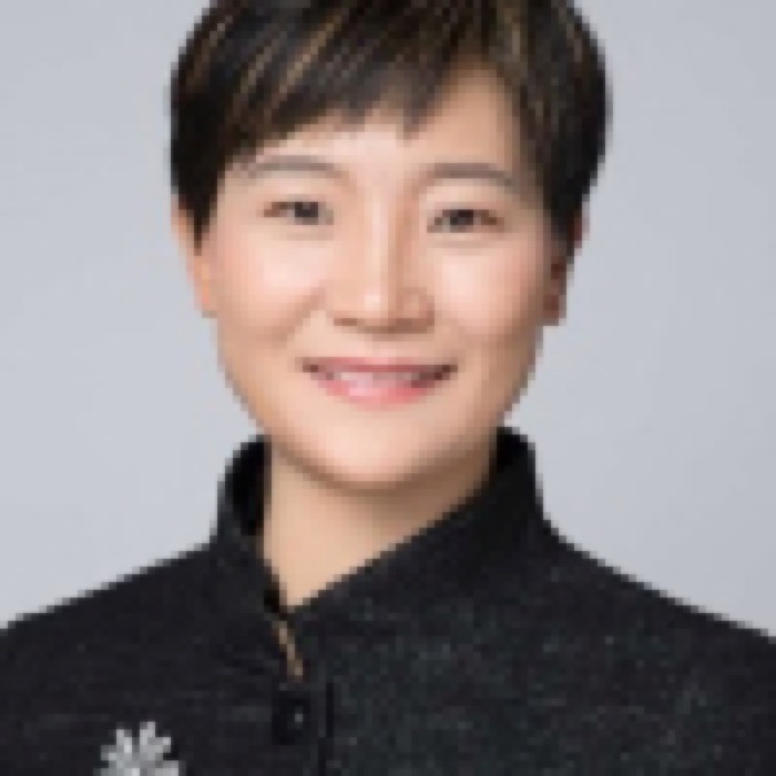Bing Liu, 